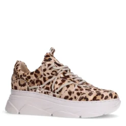 Leopard sneakers