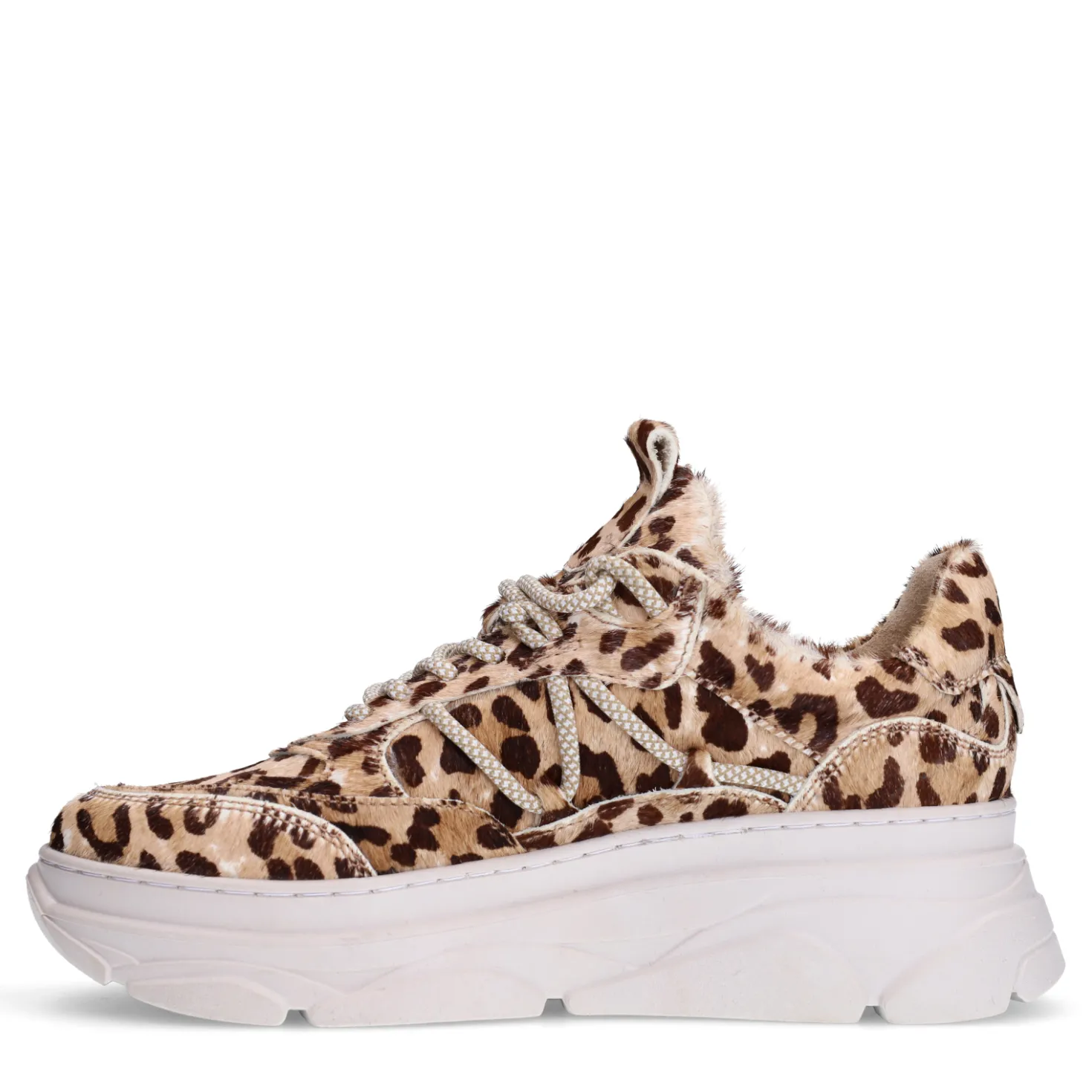 Leopard sneakers