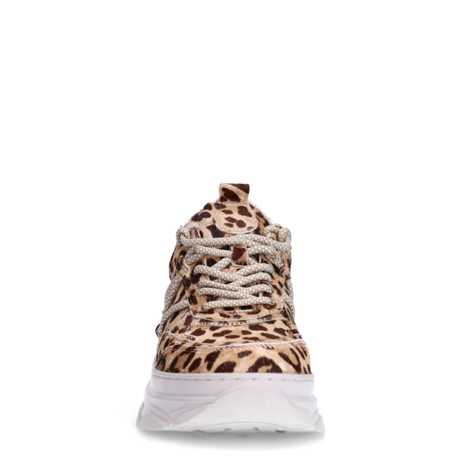 Leopard sneakers